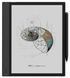 Електронна книга ONYX BOOX Note Air 4 C 10833 фото 3