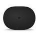 Smart колонка Sonos Era 300 Black 1074 фото 4