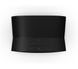 Smart колонка Sonos Era 300 Black 1074 фото 2