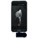 Тепловізор Seek Thermal Compact Pro Android micro USB 10384 фото 9